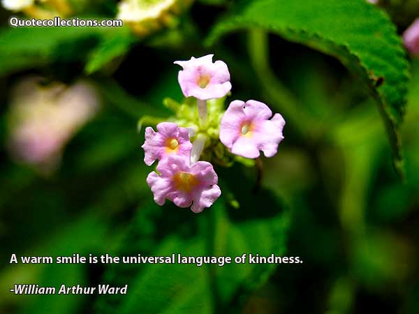 William Arthur Ward Quotes5